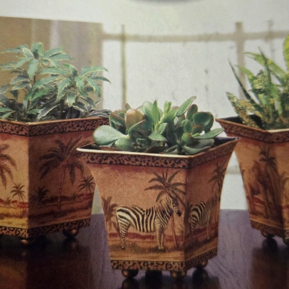 Set of 3 Safari Flower Pots (Plants not included) 51/2" x 51/2" x 5" high - Picture 1 of 5